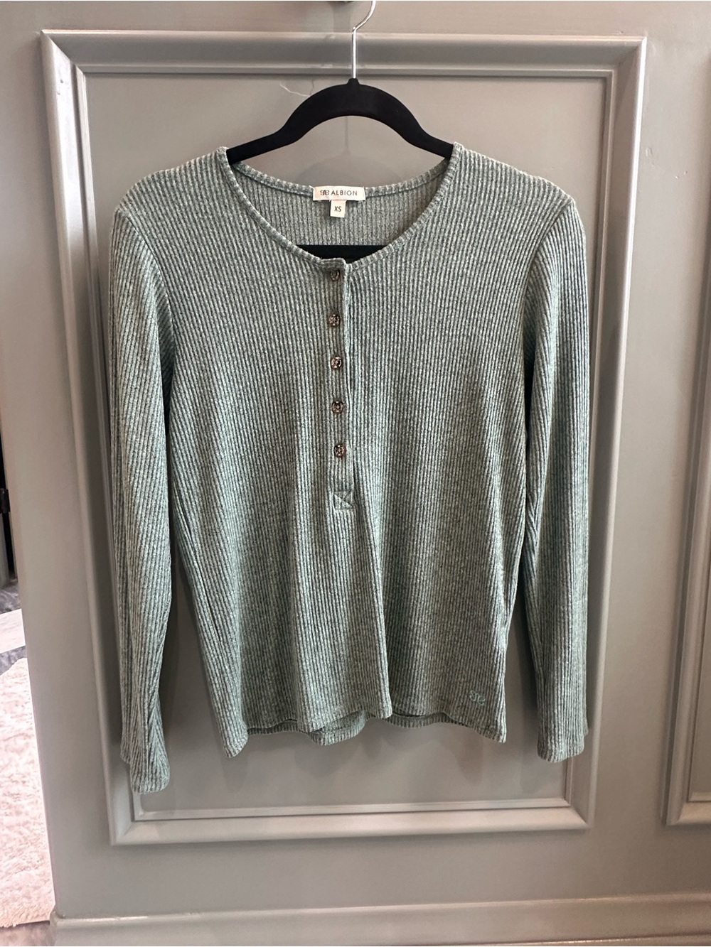 Albion Ribbed Henley Long Sleeve Top in Sage/Teal